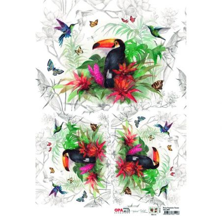 OPAPEL ESTAMPA FLORES TROPICALES Y TUCAN 30X45