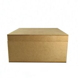 CAJA CON BISAGRA LISO 20X20...