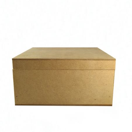 CAJA CON BISAGRA LISO 20X20 CON COMPARTIMIENTOS