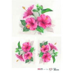 OPAPEL FLOR HIBISCO 30X45